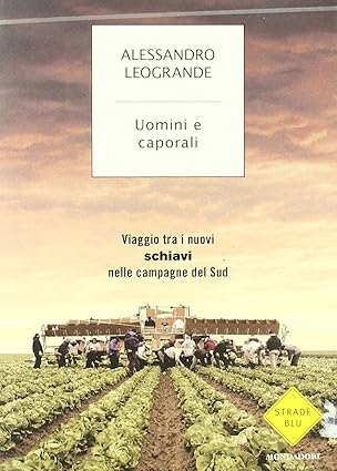 https://dblit.ufsc.br/_images/obras/6685563b31431.jpg