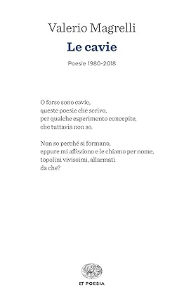 https://dblit.ufsc.br/_images/obras/68f2d47ebb1ff.jpg