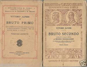 https://dblit.ufsc.br/_images/obras/Bruto.jpg